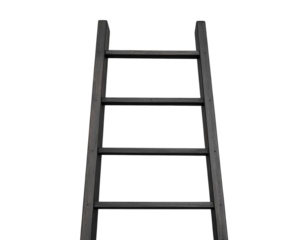 Firefly_Realistic soccer ball on a grassy field - Firefly_Simple black wooden ladder on a transparent background  (3)