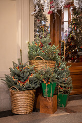 Festive Christmas Trees in Woven and Wooden Baskets