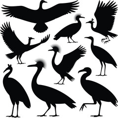 Naklejka premium Crowned Crane and Water Bird Silhouettes, Vector Silhouettes of Cranes, Storks, and Related Birds, Black Silhouettes of Birds with Wings Spread and Standing Poses, silhouette, vector, illustration.