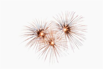 Obraz premium Fireworks white background celebration recreation.