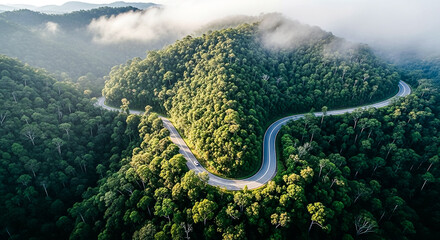 An aerial perspective captures a scenic, serpentine highway disappearing into a dense, vibrant jungle, shrouded by misty peaks.
