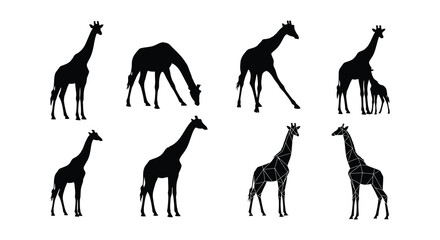 Silhouettes of giraffes in various poses against a plain white background