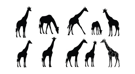 Silhouettes of giraffes in various poses against a plain white background