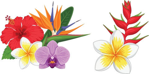 Tropical flower arrangement with hibiscus plumeria bird of paradise and orchid © MALA