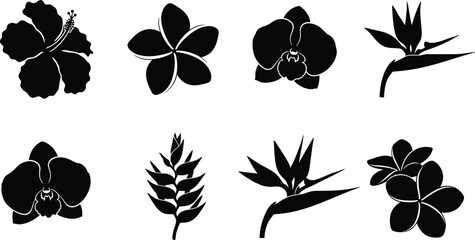 Tropical flower silhouette set hibiscus plumeria orchid bird of paradise © MALA