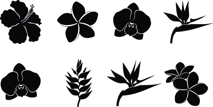 Tropical flower silhouette set hibiscus plumeria orchid bird of paradise