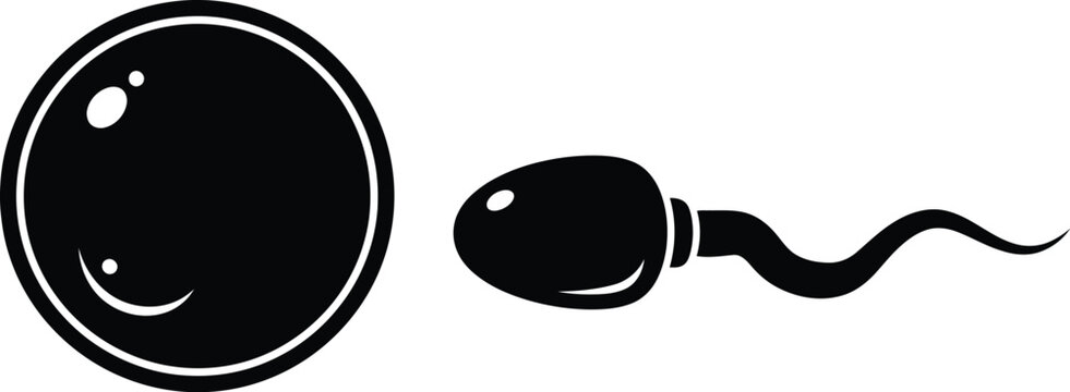 Sperm and egg cell illustration in black and white for reproductive health
