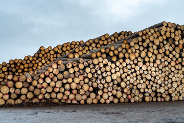 Large Stack of Spruce Sawlogs with Marked Ends at Timber Storage Yard Under Cloudy Sky
