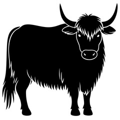 black and white cow