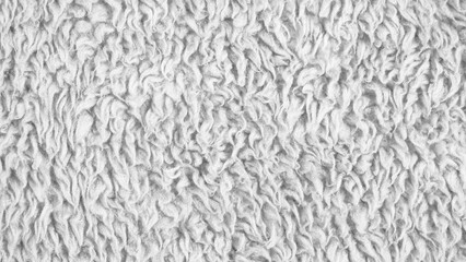 Close-up of Soft White/Light Gray Fluffy Fleece or Sherpa Fabric Texture © RilakkuMaxx