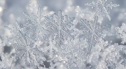 Delicate snowflakes glistening in the winter light, a macro view.
