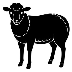 vector illustration of a sheep