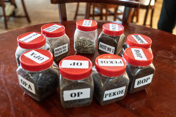 varieta' di te srilanka