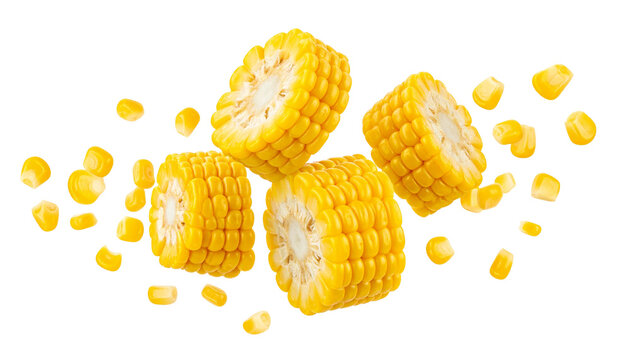 Falling Corn Rings Vibrant Pieces of Sweet Corn Isolated on White Background for Freshness