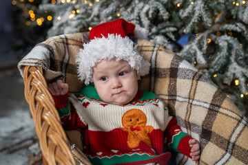 Baby in a Santa hat and festive Christmas sweater, gingerbread man,  sitting in a cozy wicker chair with a warm blanket, surrounded by snowy Christmas tree branches and twinkling holiday lights