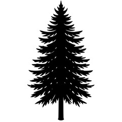 Fototapeta premium christmas tree isolated on white background