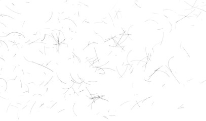 Naklejka premium human hair scattered isolated in white background and texture, clipping path