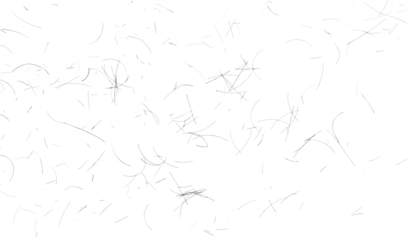 human hair scattered isolated in white background and texture, clipping path