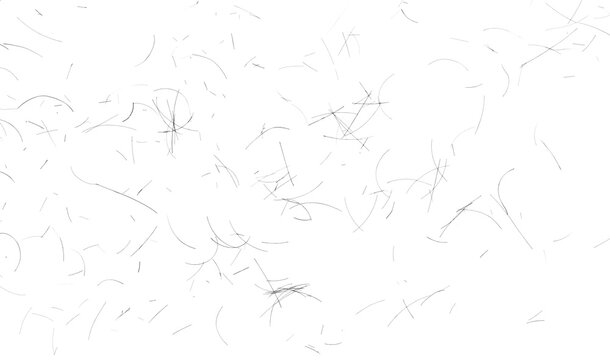 Fototapeta human hair scattered isolated in white background and texture, clipping path