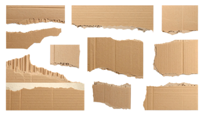 Diverse collection of torn cardboard pieces, revealing rough textures and corrugated edges, isolated on a white background