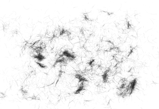 human hair scattered isolated in white background and texture, clipping path - Powered by Adobe