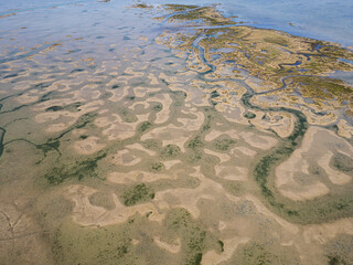 aerial view of natural park in the north of italy, lagoon, friuli venezia giulia, italy