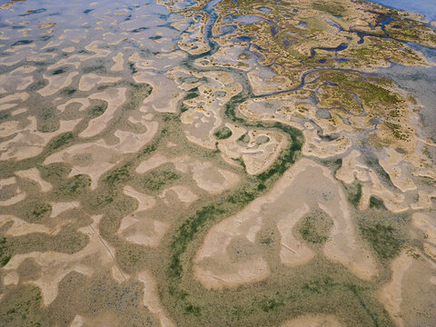 aerial view of natural park in the north of italy, lagoon, friuli venezia giulia, italy
