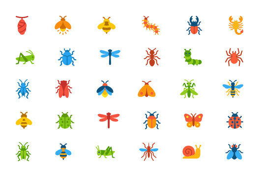 Entomology Icon Collection: A diverse set of colorful flat vector icons featuring various common insects, bugs, and invertebrates like butterflies, beetles, ants, dragonflies, bees, and spiders.
