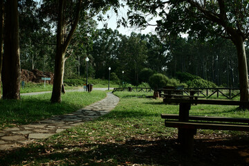 Recreational area with a picnic table and benches among trees, situated along a natural hiking trail in Northern Spain