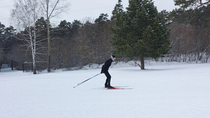 Man cross-Country Skiing in Snowy Winter Park Landscape