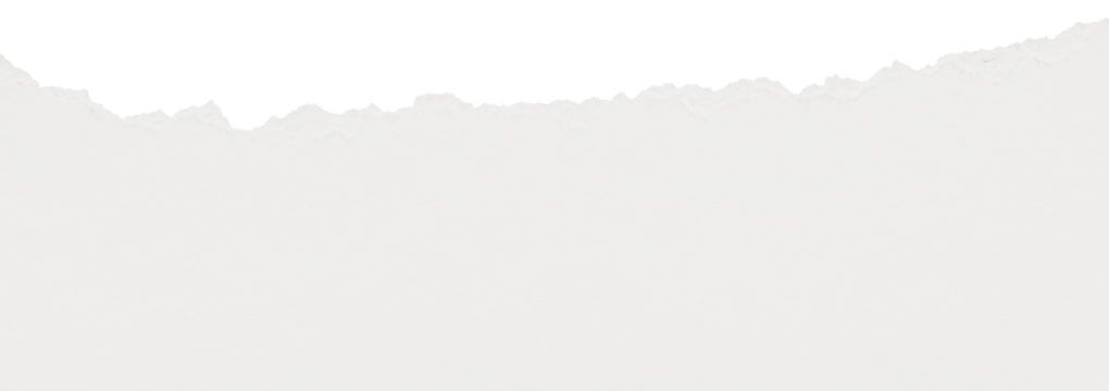 Cloud Dancer color of year 2026. Ripped edge of textured lofty white paper isolated with copy space