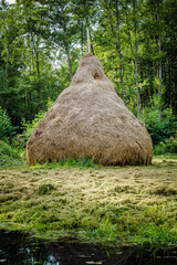 traditioneller Heuhaufen oder Heuschober im Spreewald in Brandenburg, Bootstour durch den Spreewald