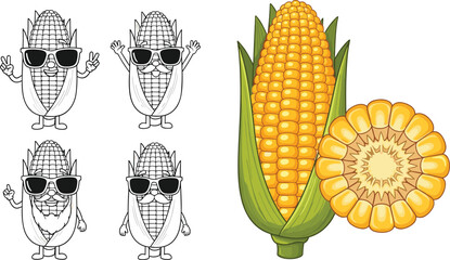 Cute corn cartoon characters, sunglasses vegetable mascots, maize illustration, fresh corn cob, sliced kernel detail, fun food design, playful agriculture artwork