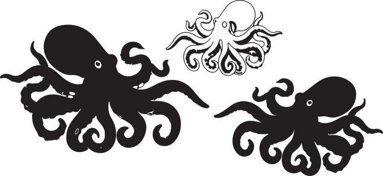 octopas vector illustration
