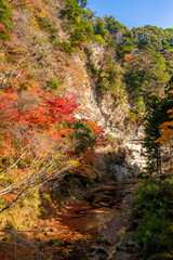 Shiraiwa Canyon and Obitsu river, Kamogawa in Japan, at red autumn leaves season