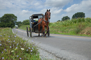 Amish buggy rolling down a rural road in Lancaster County Pennsylvania