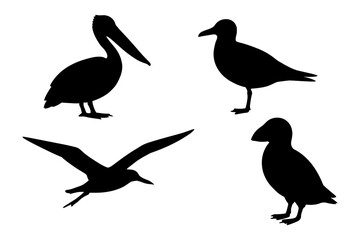 Naklejka premium Silhouettes of seagull, puffin, pelican, and albatross in flight and standing poses.