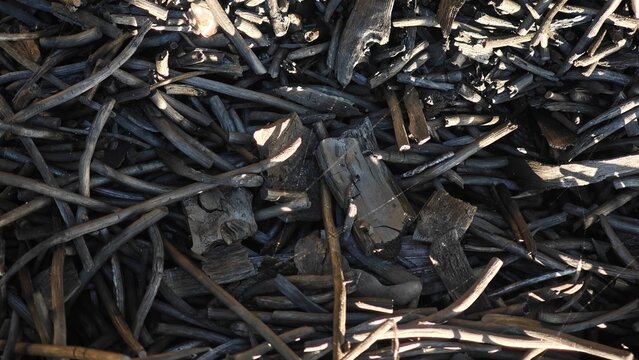 Pile of black charcoal sticks.