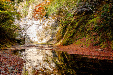 Shiraiwa Canyon and Obitsu river, Kamogawa in Japan, at red autumn leaves season