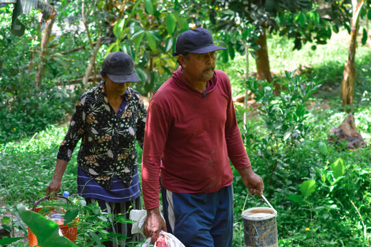 A middle-aged villager couple walks down a lush green field path, the father leads with a bucket and sack, while the mother follows carrying an orange basket of supplies.