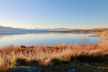 Lake Pukaki Viewpoint, NZ - May 24, 2025: Serene view of the highly reflective, smooth water of Lake Pukaki, sun-lit golden grasses. Distant snow-dusted mountains line the horizon in soft light.