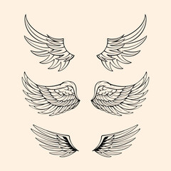 Wing line art vector illustration design