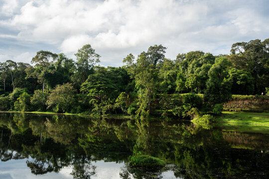 Lush green forest and lake with reflections under a cloudy sky
