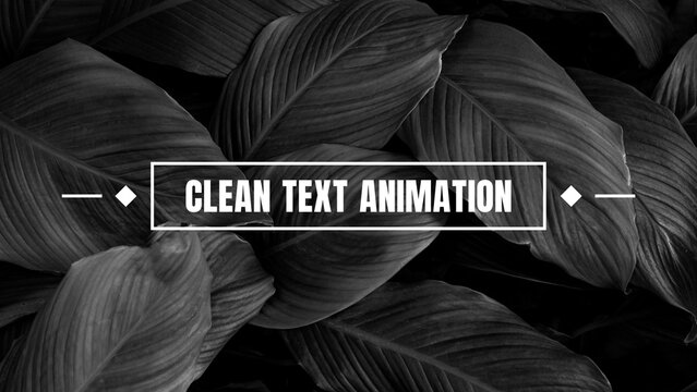 Modern Animated Titles Text Animations