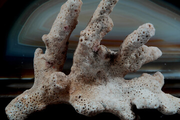 Stillleben mit KI erstellt+bearbeitet