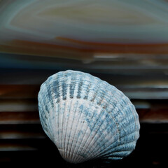 Stillleben mit KI erstellt+bearbeitet