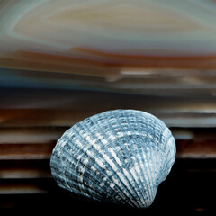 Stillleben mit KI erstellt+bearbeitet