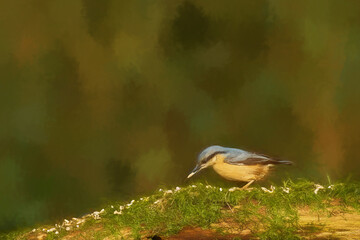Digital illustration portrait of an Eurasian Nuthatch in the forest.