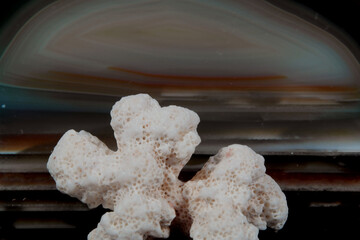 -Stillleben mit KI erstellt+bearbeitet