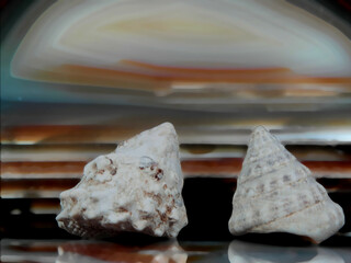 -Stillleben mit KI erstellt+bearbeitet